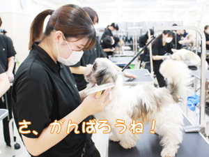 ☆１年生のトリミング☆